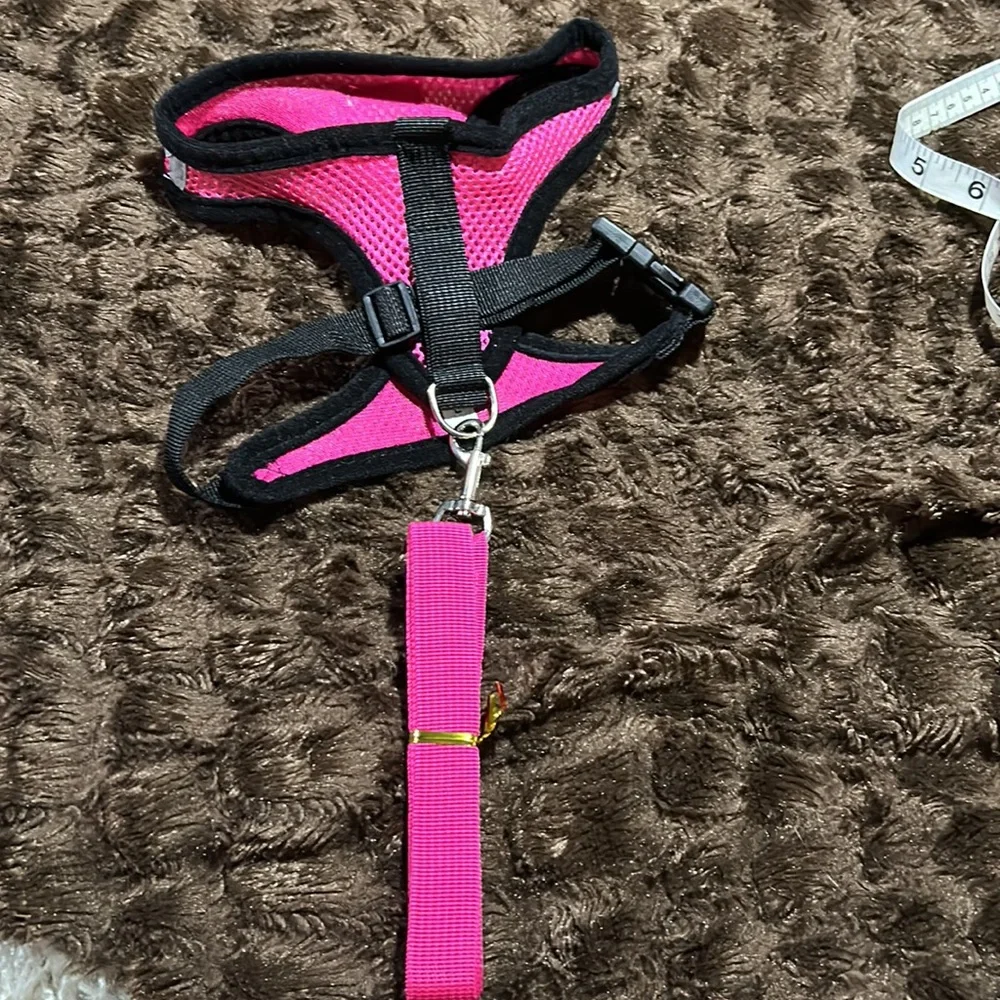 BOGO Pet Harness and Leash